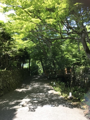 c0340786_21012087.jpeg