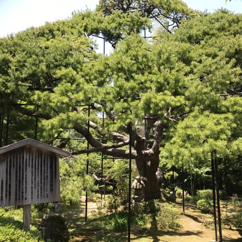 c0340786_21015208.jpeg