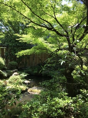 c0340786_21061881.jpeg