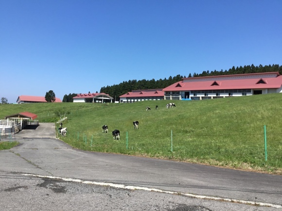 d0356192_12523674.jpeg