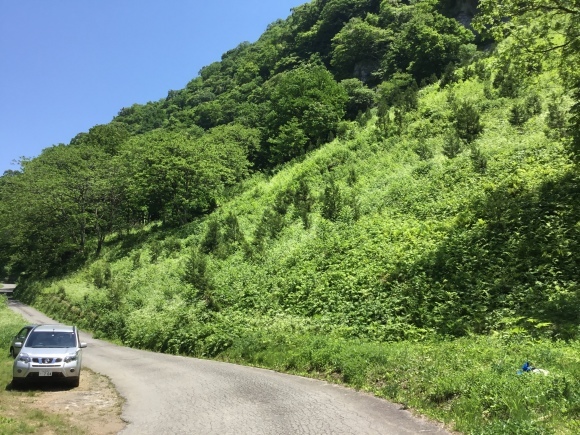 d0356192_15110326.jpeg