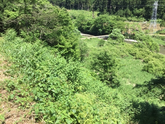 d0356192_15303727.jpeg