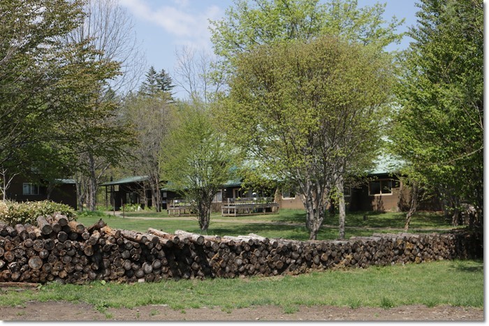 f0146493_22185959.jpg