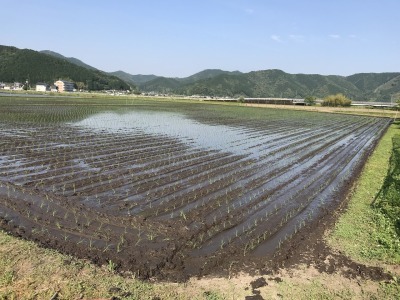 f0308898_22231764.jpg
