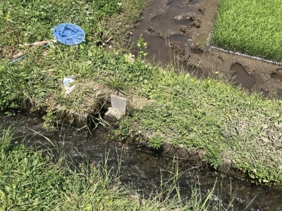 f0308898_22265310.jpg