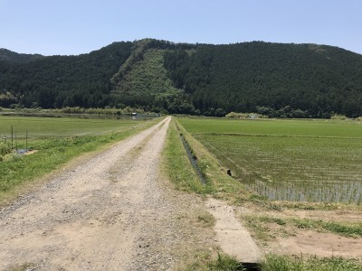 f0308898_22265341.jpg