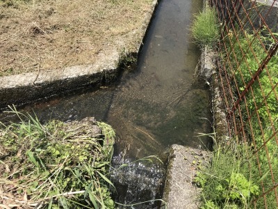f0308898_22265374.jpg