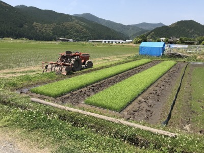 f0308898_22265376.jpg