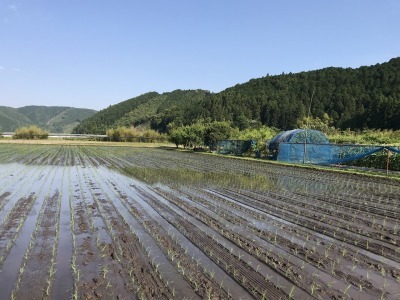 f0308898_22294425.jpg