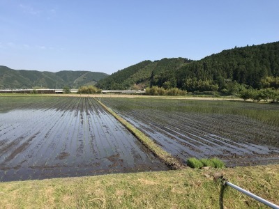 f0308898_22294494.jpg