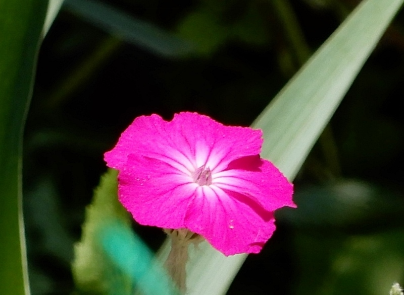 e0025300_21113740.jpg