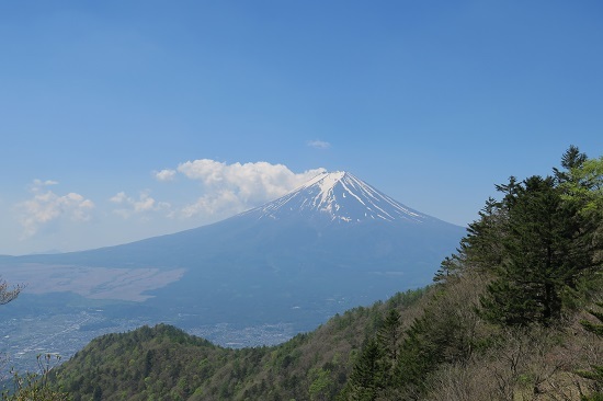 三つ峠山５月・・若葉の季節に映える白い花_a0158702_17562044.jpg