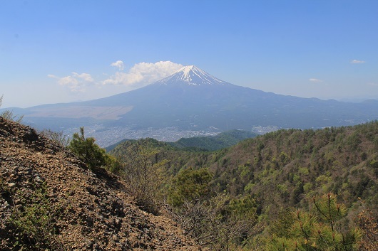 三つ峠山５月・・若葉の季節に映える白い花_a0158702_17573147.jpg