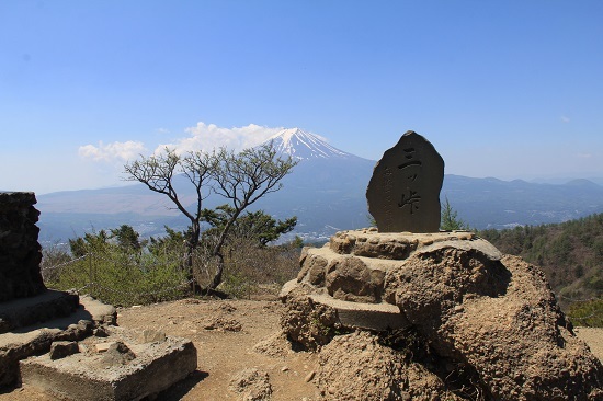 三つ峠山５月・・若葉の季節に映える白い花_a0158702_17581417.jpg