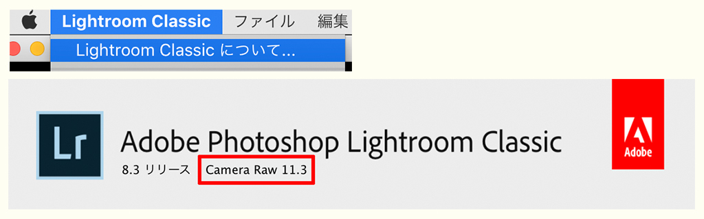 Lightroom 新機能のテクスチャは解像度を良くするシャープと肌調整に効果的な柔らかさを表現する機能 Lightcrew Digital Note