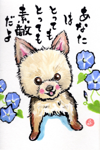 クッキーちゃん_f0375804_09434018.jpg