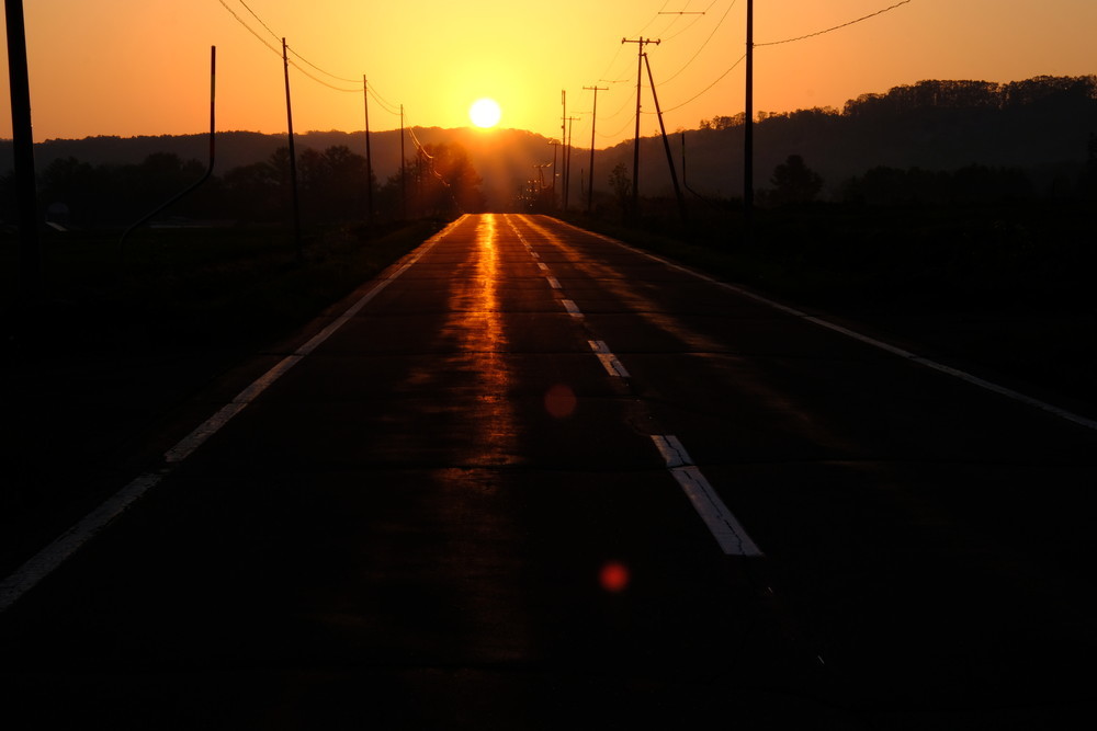 d0051707_12242550.jpg