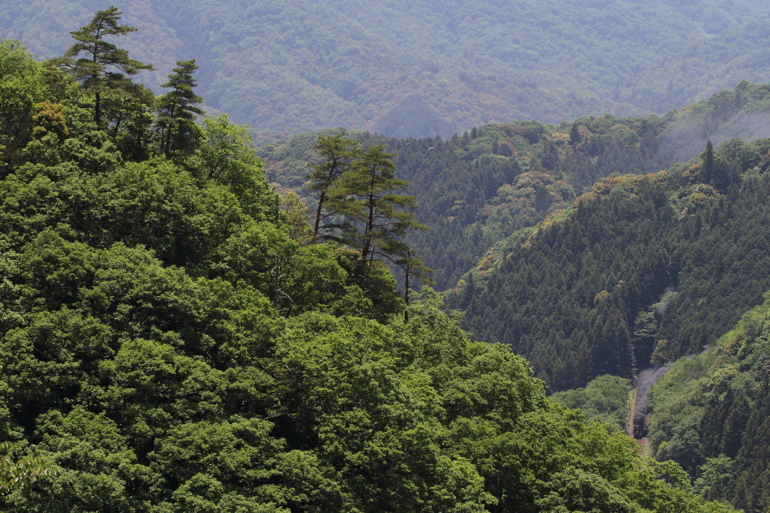 緑の山を黒煙が突き抜ける - 2019年初夏・山口線 -_b0190710_00524190.jpg