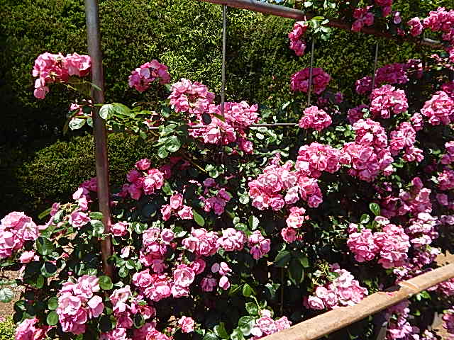 b0352112_23545211.jpg