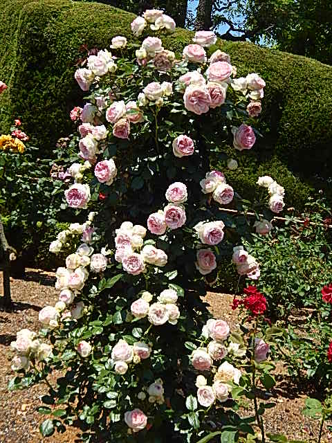 b0352112_2355489.jpg