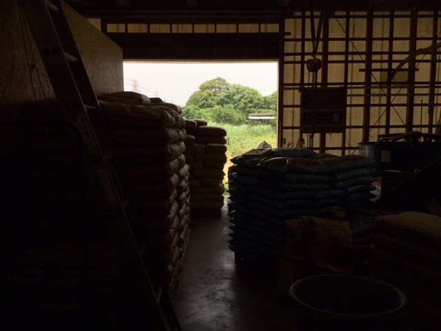 「猛暑?」_a0120513_21095770.jpeg