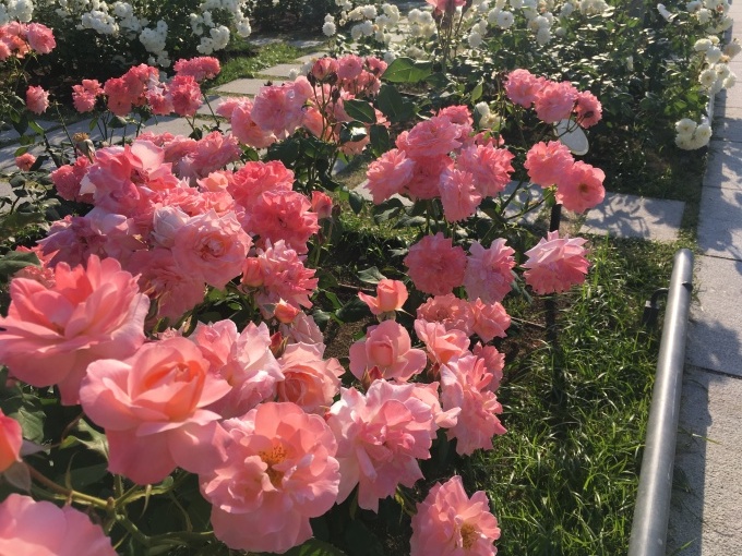 自分の周波数設定を変えるべきかも? NO.637_c0102513_22303497.jpeg