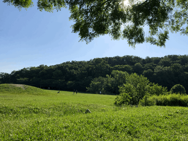 b0268815_21205007.gif