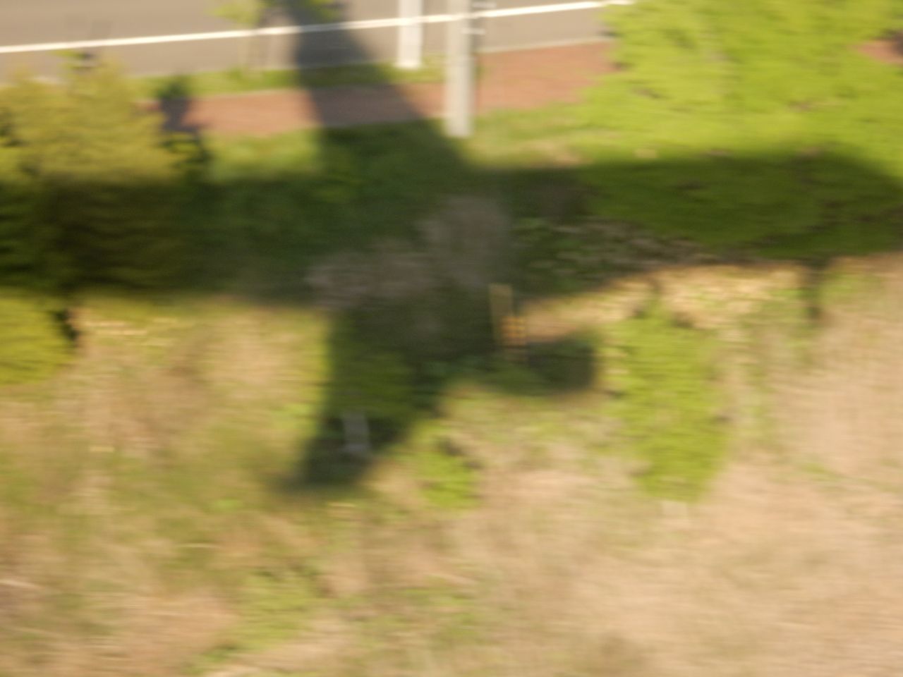 札幌に戻りました_c0025115_23254207.jpg