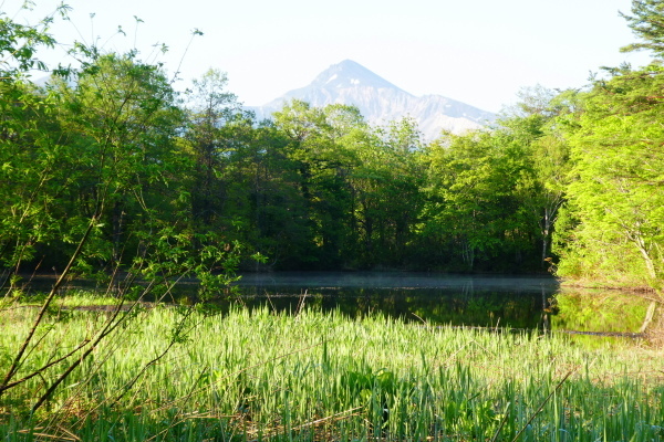 d0170615_09374504.jpg