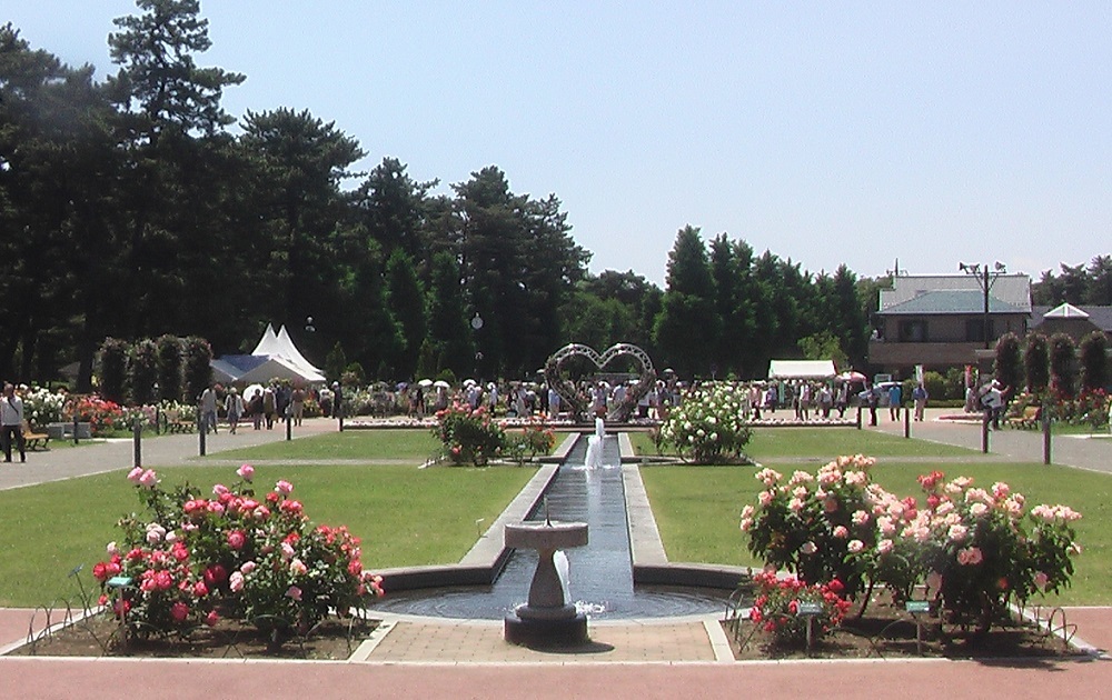 c0335218_11132814.jpg