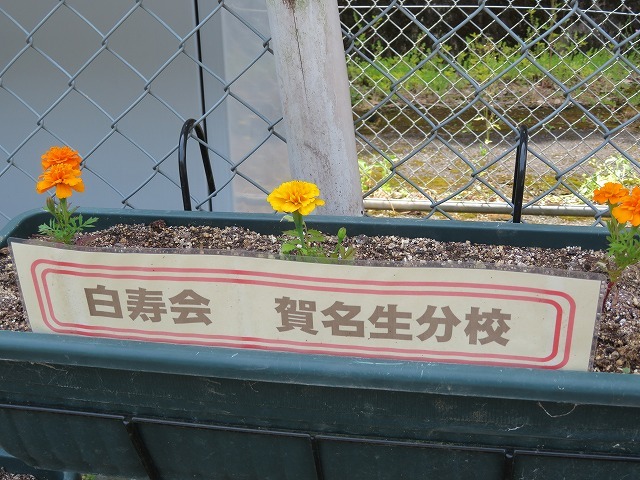 つわものどもが夢の跡 賀名生分校ブログ 青春日和 つわものどもが夢の跡 賀名生分校ブログ 青春日和