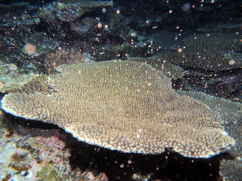 e0189021_22482896.jpg