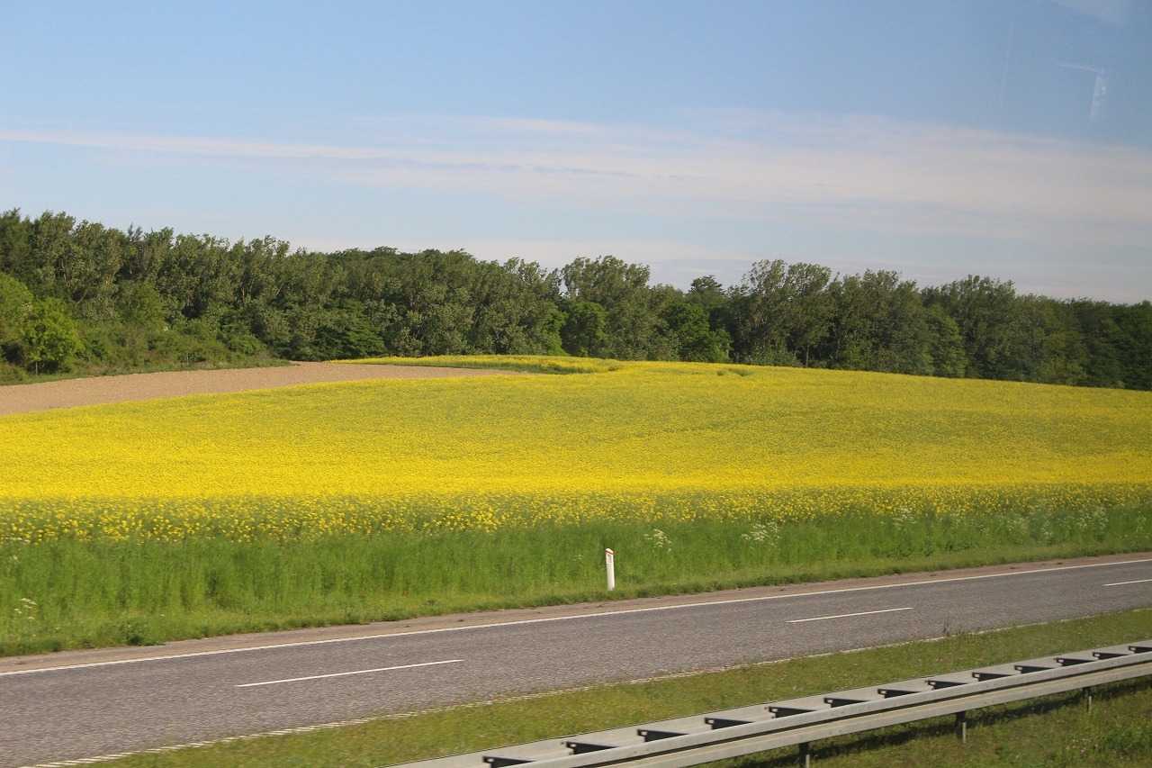 a0355629_08023575.jpg