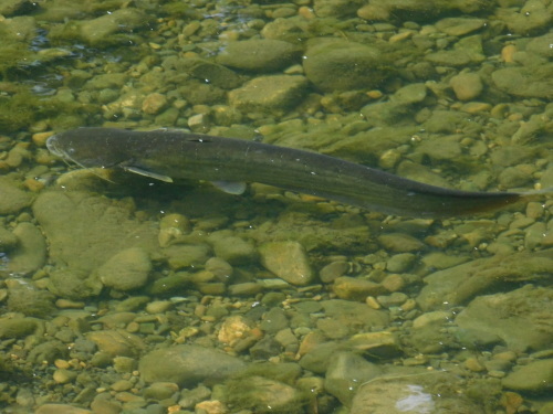 c0338136_21274663.jpg