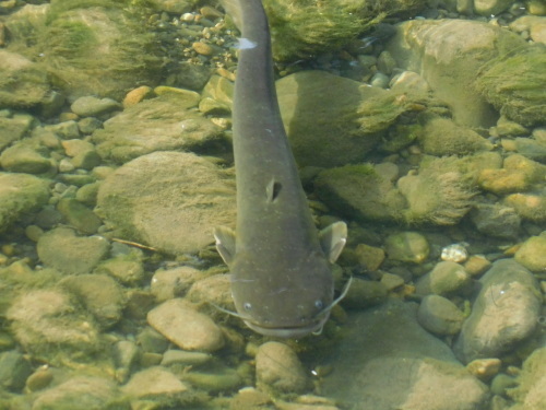 c0338136_21282515.jpg