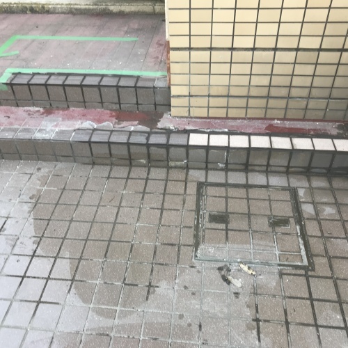 f0031037_14470735.jpeg