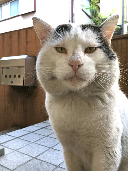 ナナクロ_a0028451_12580592.jpg