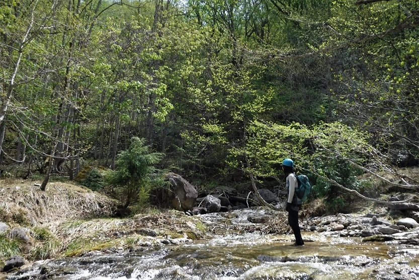 根羽沢大薙沢（片品川水系）_a0286351_19535280.jpg