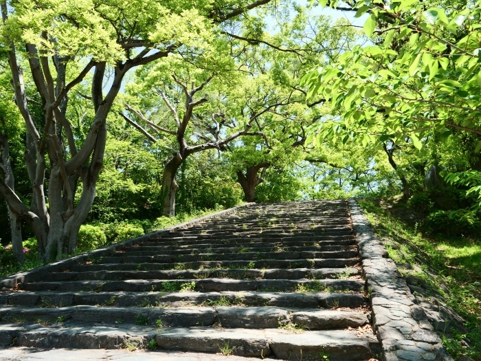 　天妃山 （てんぴざん）　　２０１９-０５-２８　００：００_b0093754_20572210.jpg