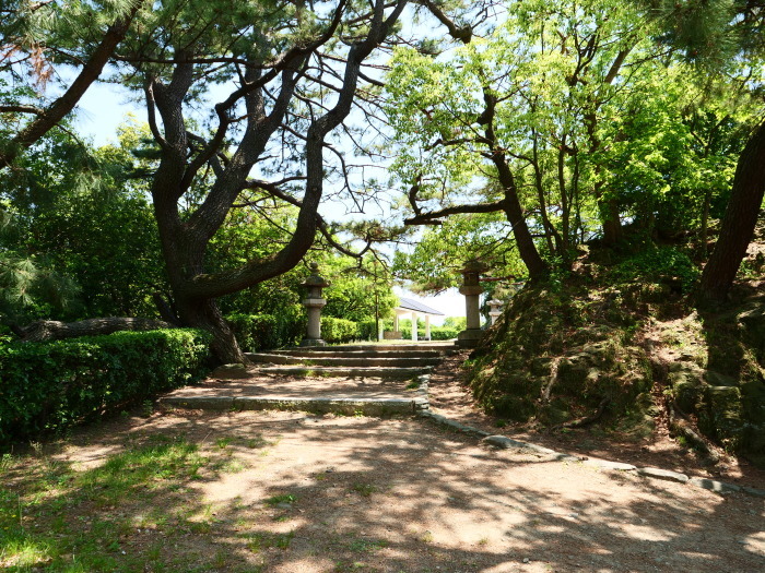 　天妃山 （てんぴざん）　　２０１９-０５-２８　００：００_b0093754_20574711.jpg