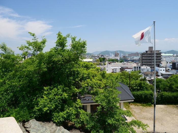 　天妃山 （てんぴざん）　　２０１９-０５-２８　００：００_b0093754_20594322.jpg