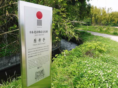 菊池水源棚田米 水へのこだわりと苗床の様子(2019)_a0254656_17382510.jpg