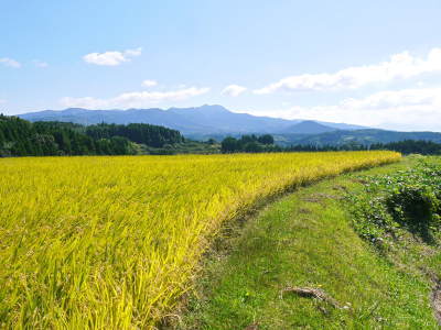 菊池水源棚田米 水へのこだわりと苗床の様子(2019)_a0254656_17485996.jpg