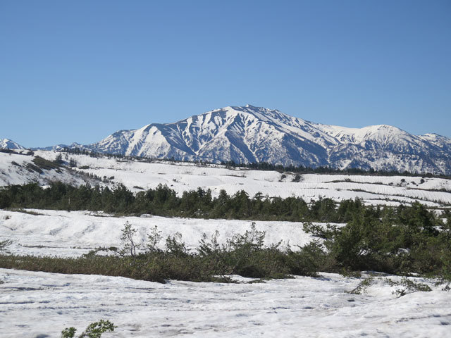 c0116856_19291776.jpg