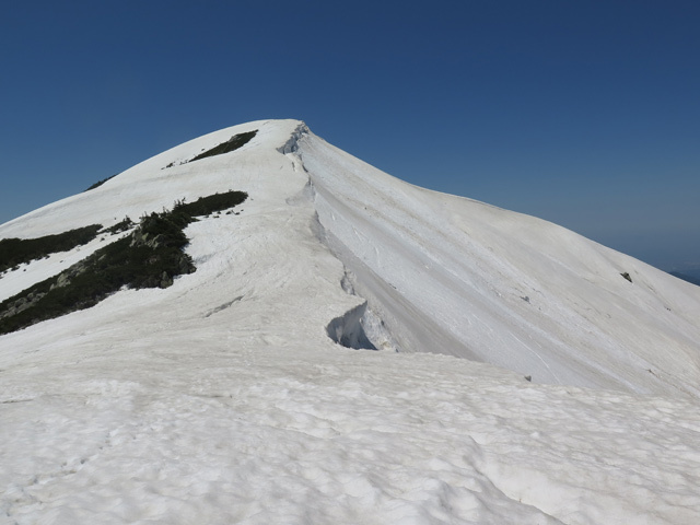 c0116856_19383528.jpg