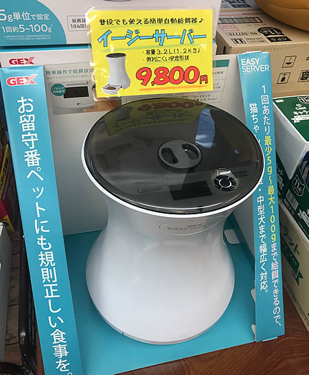 夏日が続いておりますが・・・_e0362456_20302364.jpg