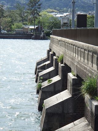 e0044657_21114043.jpg