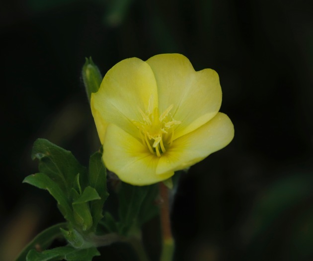 a0248459_14195220.jpg