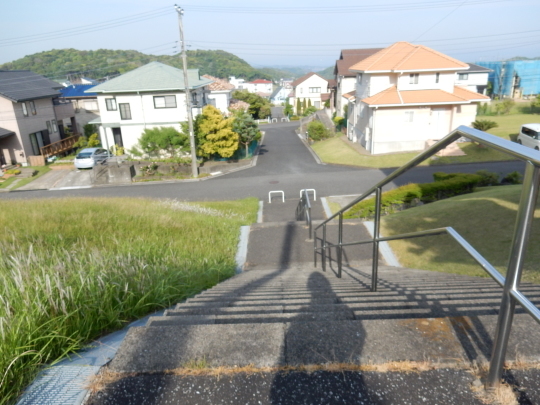’19,5,27(月)散歩道にはハニーサックルが良い香り!_f0060461_09372938.jpg