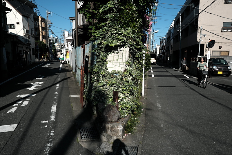 f0079061_19093079.jpg